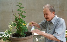 Tình báo giữa lòng tình báo