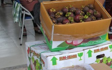 Măng cụt Thái Lan ngập chợ, người Việt ăn mà không biết
