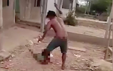 Hổ dữ không ăn thịt con!