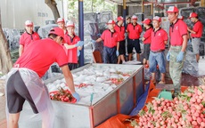 Sáng tạo của những "vua" xuất khẩu nông sản
