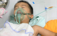 Bé 4 tuổi sờ đầu nghé, bị trâu mẹ húc thủng phổi