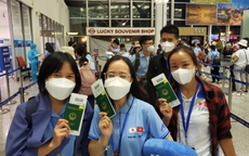 Tuyển 240 điều dưỡng, hộ lý sang Nhật Bản làm việc