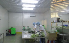 Bắt kịp xu thế tăng trưởng xanh