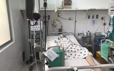 Thông tin mới về vụ nghi ngộ độc pate chay