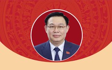 [Infographic] Chân dung tân Chủ tịch Quốc hội Vương Đình Huệ