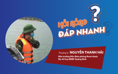 Ngư dân phát hiện "kho báu" tiền cổ dưới đáy biển: Đồn trưởng Biên phòng nói gì?