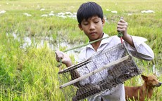 Quá sớm để dự báo hạn, mặn ở miền Tây