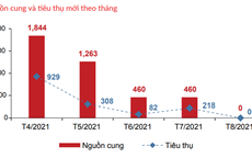 DKRA: Có thể bán tháo, giảm giá đất nền trên diện rộng