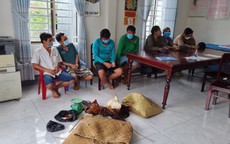 Bắt quả tang 7 đối tượng "trồng cựa sắt" để kiếm thu nhập