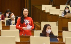 Đại biểu QH: Nếu không phải công chức thì hầu hết đang đối mặt với vấn đề việc làm
