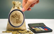 Nên đầu tư vào đâu trong bối cảnh "thiên nga đen"?