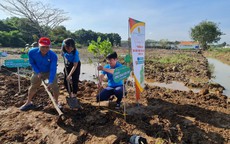 Tạo mảng xanh cho thành phố