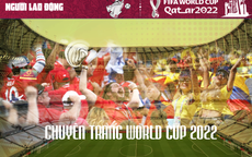 Hấp dẫn chuyên trang World Cup 2022 trên Báo Người Lao Động