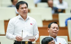 Đại biểu Quốc hội: Nghĩ đến giá đất, nhiều người muốn sở hữu lại lạnh người
