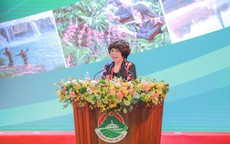 Anh hùng Lao động Thái Hương và 4 đề xuất phát triển kinh tế xanh cho Tây Nguyên