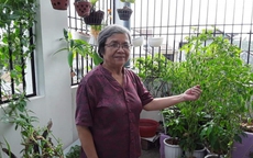 Nhân hậu với người, bình thản với đời