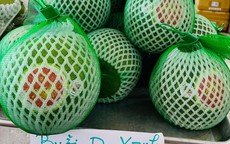 Bưởi da xanh bay đến Mỹ, giá hơn 500.000 đồng/kg