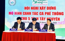 Bình Điền tổ chức xây dựng mô hình Canh tác cà phê thông minh cho 5 tỉnh Tây Nguyên