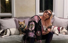21 năm tù cho kẻ trộm chó cưng của Lady Gaga