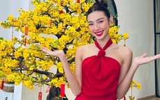 Sao Việt du xuân