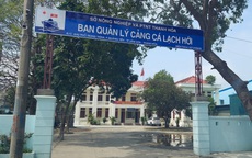 Tham gia đánh bạc, giám đốc cảng cá bị đình chỉ công tác