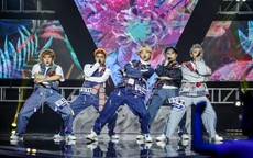 Vote for five đến hồi gay cấn