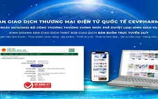 Vimedimex - Cermed GmbH - Viettel Post ra mắt Sàn giao dịch TMĐT Quốc tế CEVPharma