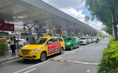 Taxi truyền thống đang lấy lại vị thế
