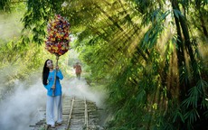 Rộn ràng hoa giấy Thanh Tiên