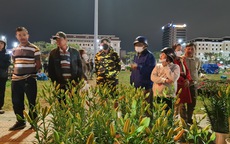 Đà Nẵng: Hoa sale "sập sàn" vẫn không ai mua