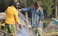 Ngư dân Thanh Hóa vươn khơi đón "lộc biển" đầu năm