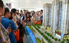 Kiến nghị gia hạn Thông tư 08 thêm 12 tháng