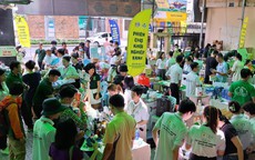 Start-up Việt đứng lên từ thất bại