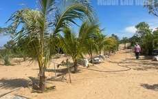 Vũng Tàu đề nghị chuyển công an truy cứu vụ vi phạm đất đai quy mô lớn