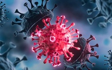 Bộ Y tế nói gì về biến thể JN.1 của virus SARS-CoV-2?