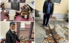 3 người bị bắt cùng 9 bộ da hổ