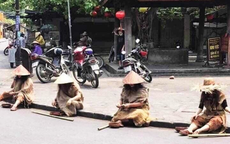 Giả dạng ăn xin bị xử phạt thế nào?