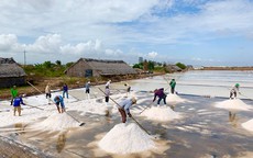 Nâng tầm muối Bạc Liêu