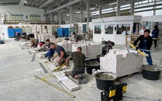 Cơ hội cho lao động Việt ở châu Âu