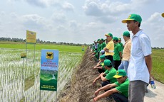 Chương trình Canh tác lúa thông minh được đưa vào đề án gắn với tăng trưởng xanh tại ĐBSCL