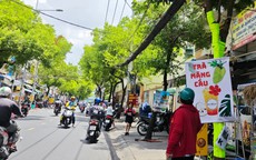 Đến lượt mãng cầu xiêm tăng giá nóng vì cơn sốt “trà mãng cầu”
