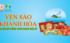 Yến sào Khánh Hòa xác lập kỷ lục Châu Á đặc sản quà tặng Khánh Hòa