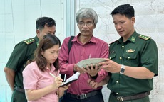 Cổ vật khai thác trái phép ở Quảng Ngãi thuộc thời Minh - Thanh