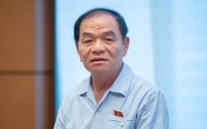 Đại biểu QH Lê Thanh Vân: Khó khăn thì xây tượng đài để làm gì?