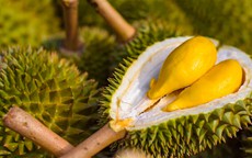 Giá sầu riêng bất ngờ tăng vọt