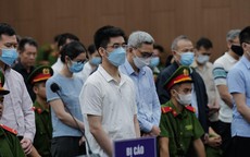 Viện Kiểm sát: Cựu điều tra viên vụ chuyến bay giải cứu "tráo trở, gian dối"