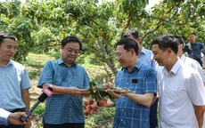 Bộ trưởng Lê Minh Hoan: Không kể thành tích, không than khó, hãy nêu giải pháp