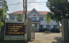 Cách chức Trưởng Phòng Tư pháp vì... ăn trộm cây hoa giấy