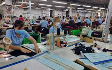 Nếu quỹ BHXH mất cân đối, ai đảm bảo quyền lợi cho người lao động?