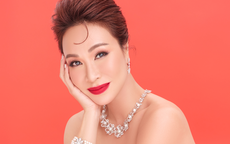 Bị chỉ trích, Uyên Linh lên tiếng